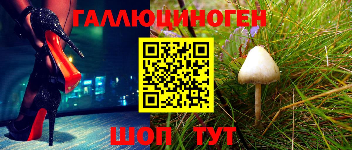 Псилоцибиновые грибы ЛСД Шелехов
